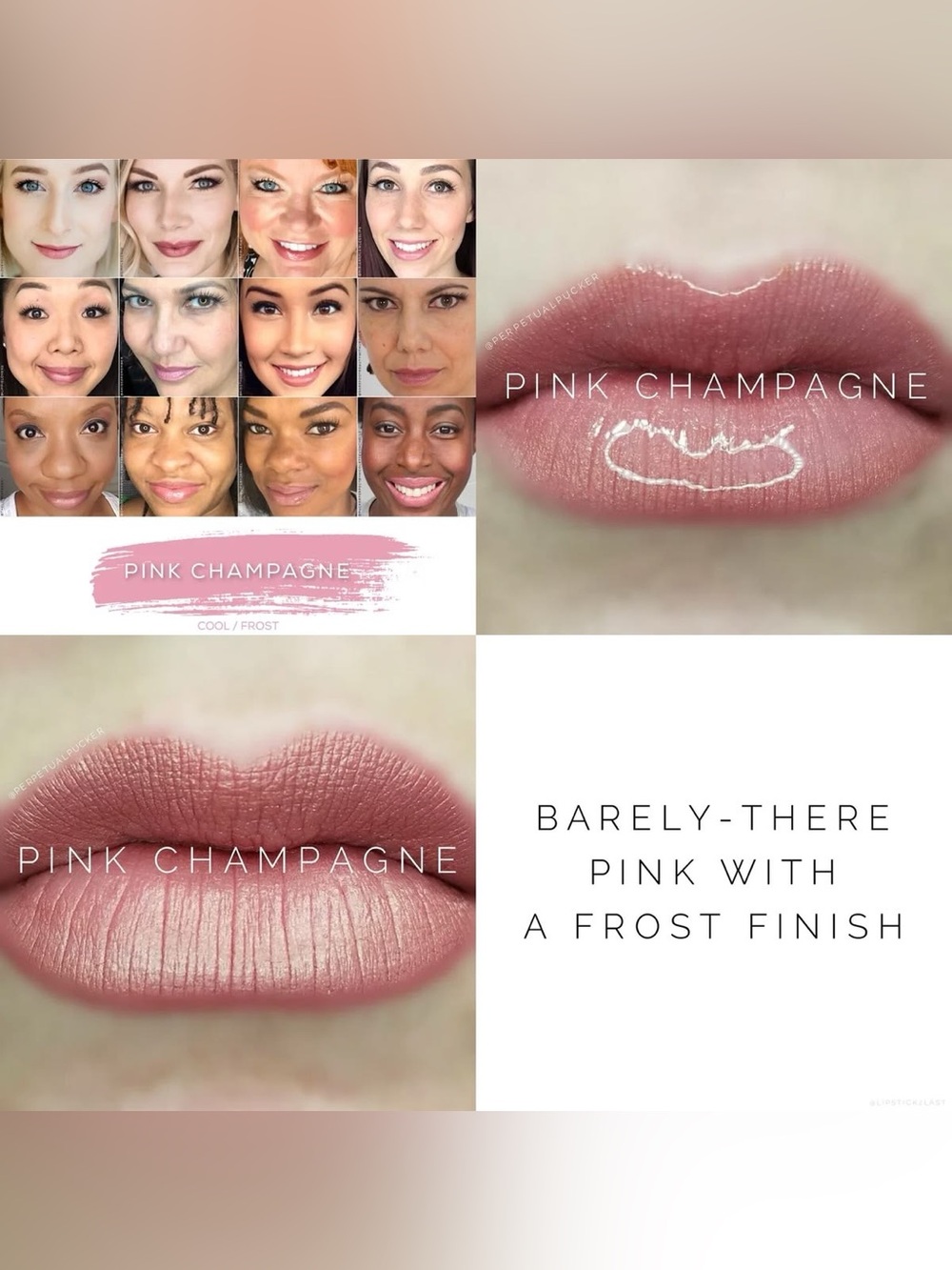 Lipsense Pink Champagne NEW Frost Cool Neutral Long Lasting Liquid Lipstick - Picture 5 of 7